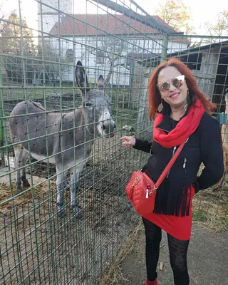Solène, 43 ans, rencontre sexe à Ardoix